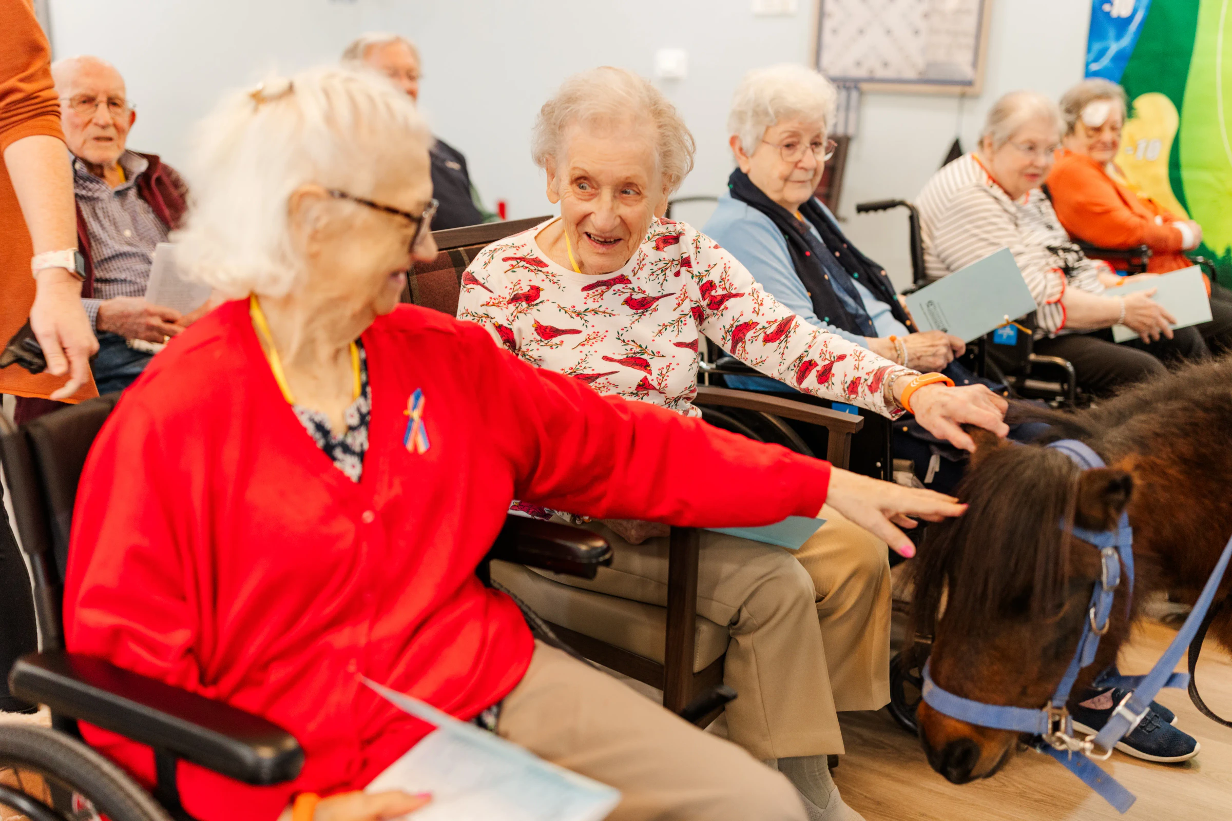 Activities and Events